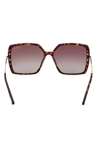 Shop Tom Ford Joanna 59mm Polarized Butterfly Sunglasses In Dark Havana / Brown Polarized