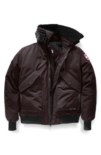 Shop Canada Goose Bromley Slim Fit Down Bomber Jacket With Genuine Shearling Collar In Charred Wood