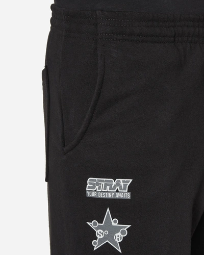 Shop Stray Rats Srmy-v Sweatpants In Black