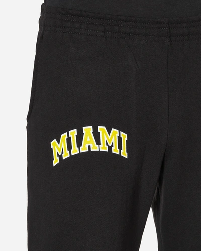 Stray Rats Miami Sweatpants In Black