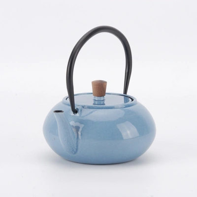 Shop Minimal Enameled Cast Iron Teapot - Classic In Multi