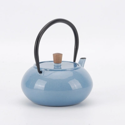 Shop Minimal Enameled Cast Iron Teapot - Classic In Multi