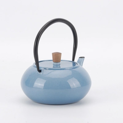 Minimal Enameled Cast Iron Teapot - Classic In Multi