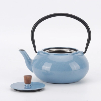 Shop Minimal Enameled Cast Iron Teapot - Classic In Multi