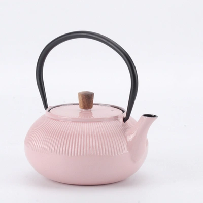 Minimal Enameled Cast Iron Teapot - Classic In Multi