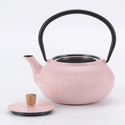 Minimal Enameled Cast Iron Teapot - Classic In Multi