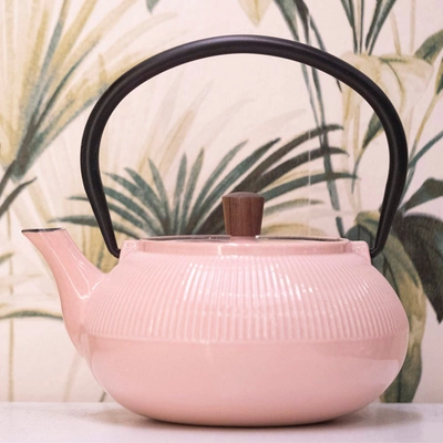 Minimal Enameled Cast Iron Teapot - Classic In Multi