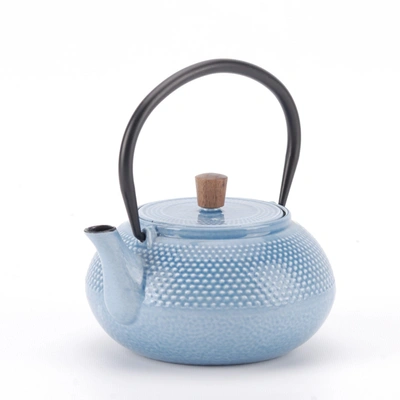 Minimal Enameled Cast Iron Teapot - Dot In Multi