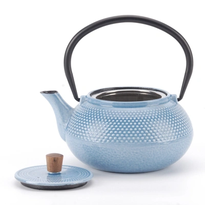 Minimal Enameled Cast Iron Teapot - Dot In Multi