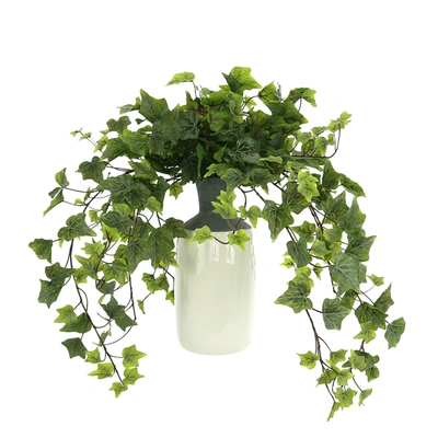 Shop Creative Displays Ivy Arrangement In A Tall Ceramic Vase In Green