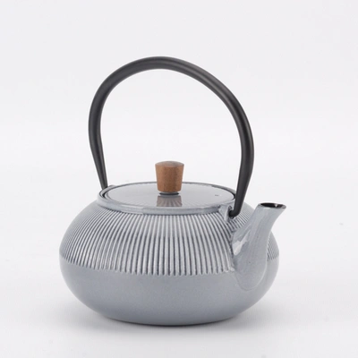 Shop Minimal Enameled Cast Iron Teapot - Line In Multi