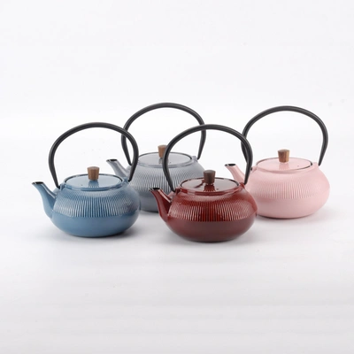 Shop Minimal Enameled Cast Iron Teapot - Line In Multi