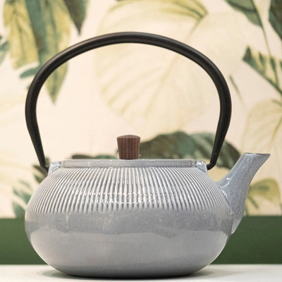 Shop Minimal Enameled Cast Iron Teapot - Line In Multi