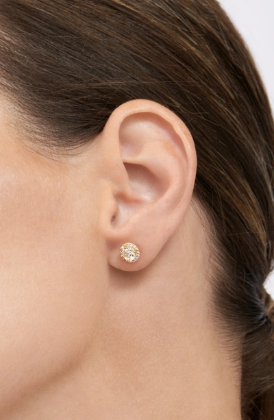 Shop Adornia Swarovski Crystal Halo Earrings Gold