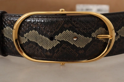 Shop Dolce & Gabbana Exotic Leather  Oval Buckle Women's Belt In Black