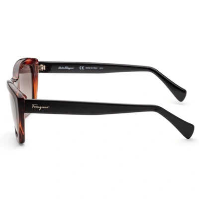 Shop Ferragamo Women's Fashion 55mm Sunglasses In Brown
