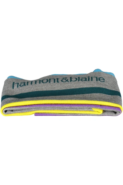 Shop Harmont & Blaine Wool Men's Scarf In Multi
