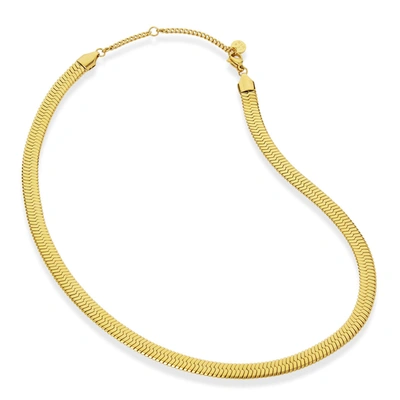 Savvy Cie Jewels 18k Gold Herringbone 6.5mm Wide In White