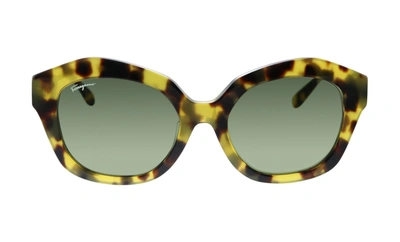 Shop Ferragamo Salvatore  Sf868sa 215 Rectangle Sunglasses In Green