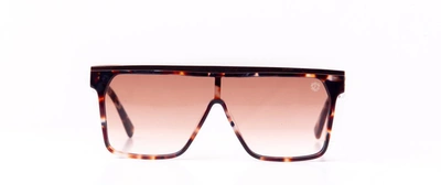 Shop Fubu Frames Stuyvesant Brown Flat Top Sunglasses In Pink