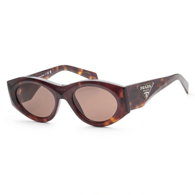 Shop Prada Women's 53mm Sunglasses In Brown