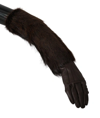 Shop Dolce & Gabbana Elbow Length Mittens Leather Fur Women's Gloves In Brown