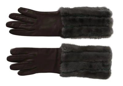 Shop Dolce & Gabbana Mid Arm Length Leather Fur Women's Gloves In Brown