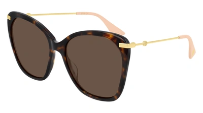 Shop Gucci Gg0510s W Cateye Sunglasses In Multi