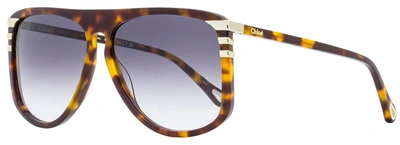 Shop Chloé Women's Pilot Sunglasses Ch0104s 004 Havana/gold 62mm In Brown