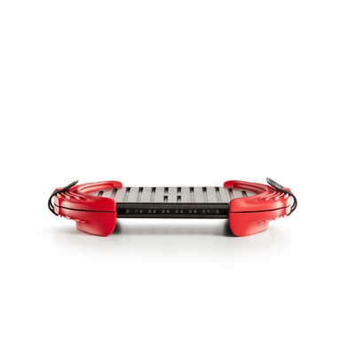 Lekue Xl Microwave Grill, Sandwich Maker, And Panini Press, Red In Red