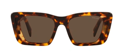 Shop Prada Pr 08ys 01v8c1 Cat Eye Sunglasses In Brown