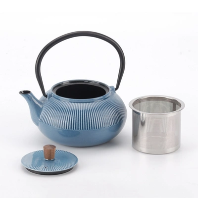 Minimal Enameled Cast Iron Teapot - Line In Multi