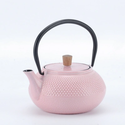 Minimal Enameled Cast Iron Teapot - Classic In Multi