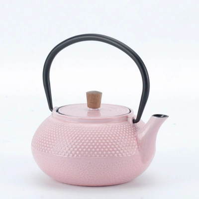 Minimal Enameled Cast Iron Teapot - Classic In Multi
