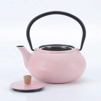 Minimal Enameled Cast Iron Teapot - Classic In Multi