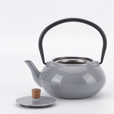 Shop Minimal Enameled Cast Iron Teapot - Classic In Multi
