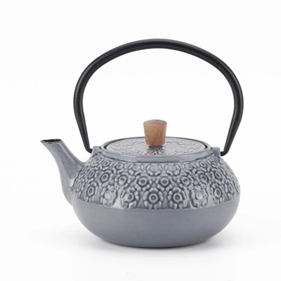 Minimal Enameled Cast Iron Teapot - Line In Multi