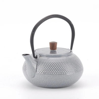 Shop Minimal Enameled Cast Iron Teapot - Dot In Multi