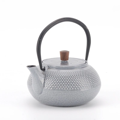 Minimal Enameled Cast Iron Teapot - Line In Multi