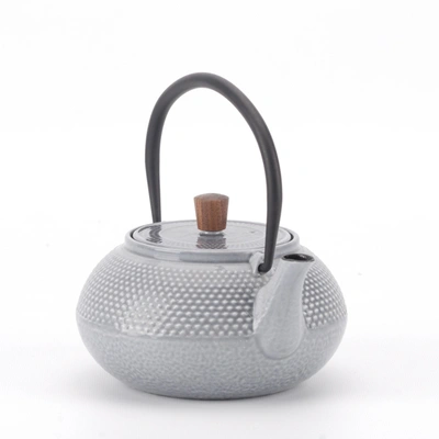 Minimal Enameled Cast Iron Teapot - Line In Multi