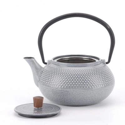 Minimal Enameled Cast Iron Teapot - Line In Multi