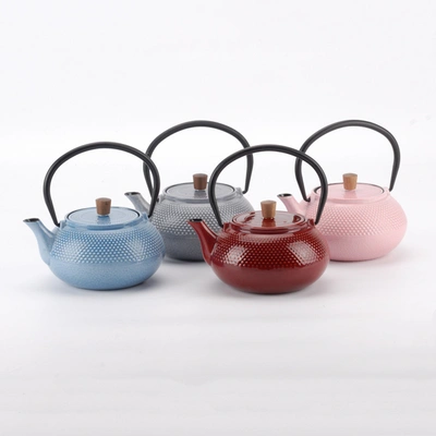 Shop Minimal Enameled Cast Iron Teapot - Dot In Multi