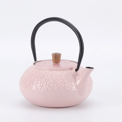 Minimal Enameled Cast Iron Teapot - Classic In Multi