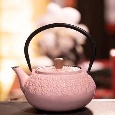 Minimal Enameled Cast Iron Teapot - Classic In Multi