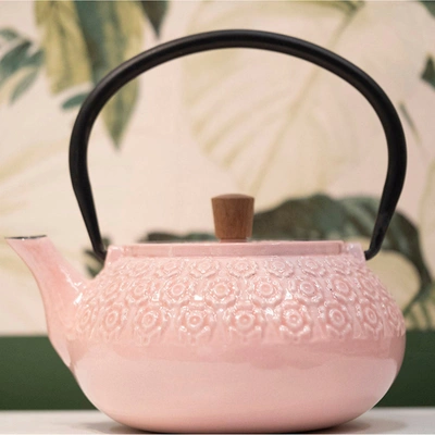 Minimal Enameled Cast Iron Teapot - Classic In Multi