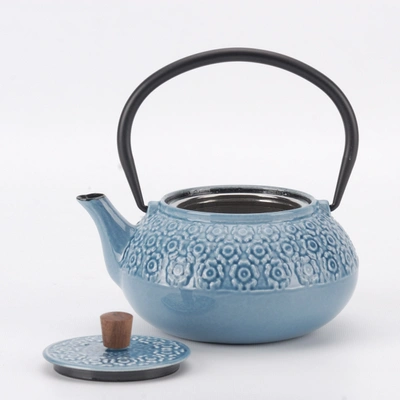 Shop Minimal Enameled Cast Iron Teapot - Sakura In Multi