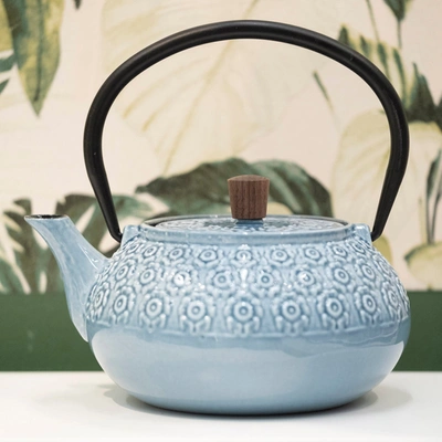 Shop Minimal Enameled Cast Iron Teapot - Sakura In Multi