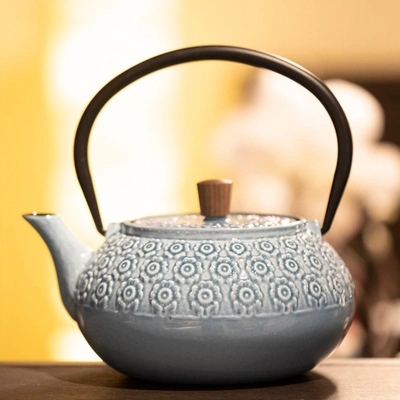 Shop Minimal Enameled Cast Iron Teapot - Sakura In Multi