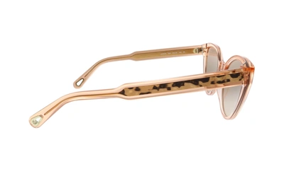 Shop Chloé Ce757s Coral Cat Eye Sunglasses In Pink