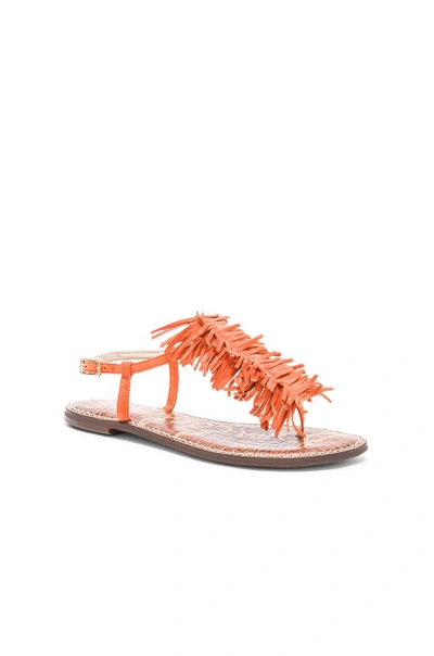 Shop Sam Edelman Gela Sandal In Orange Suede
